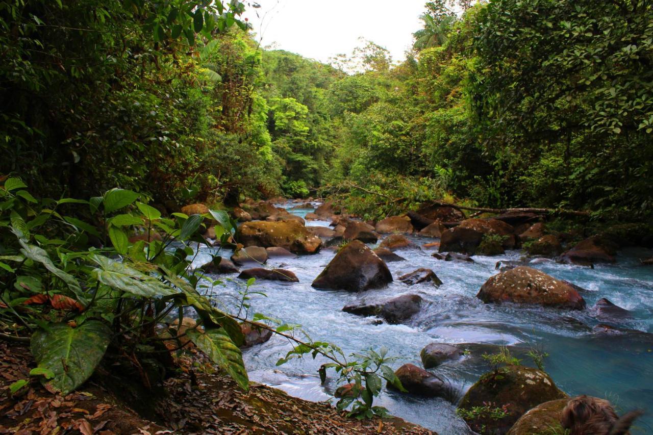 Río Celeste Nature View Upala Exterior foto