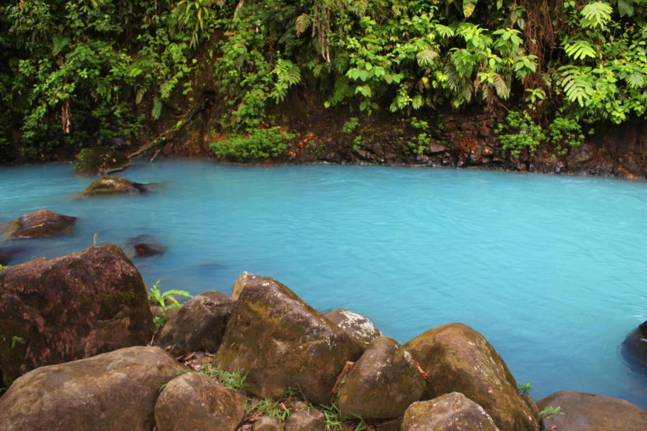 Río Celeste Nature View Upala Exterior foto