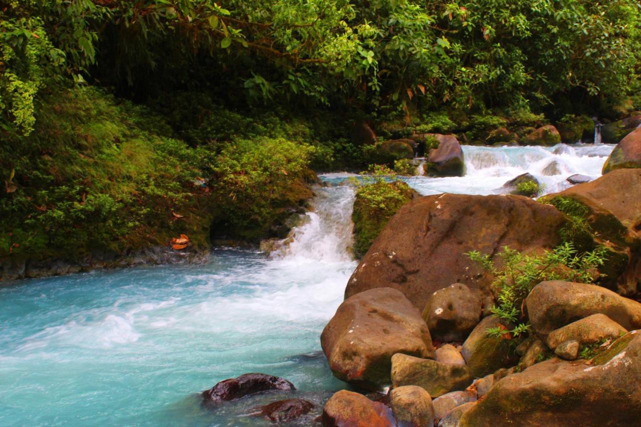 Río Celeste Nature View Upala Exterior foto